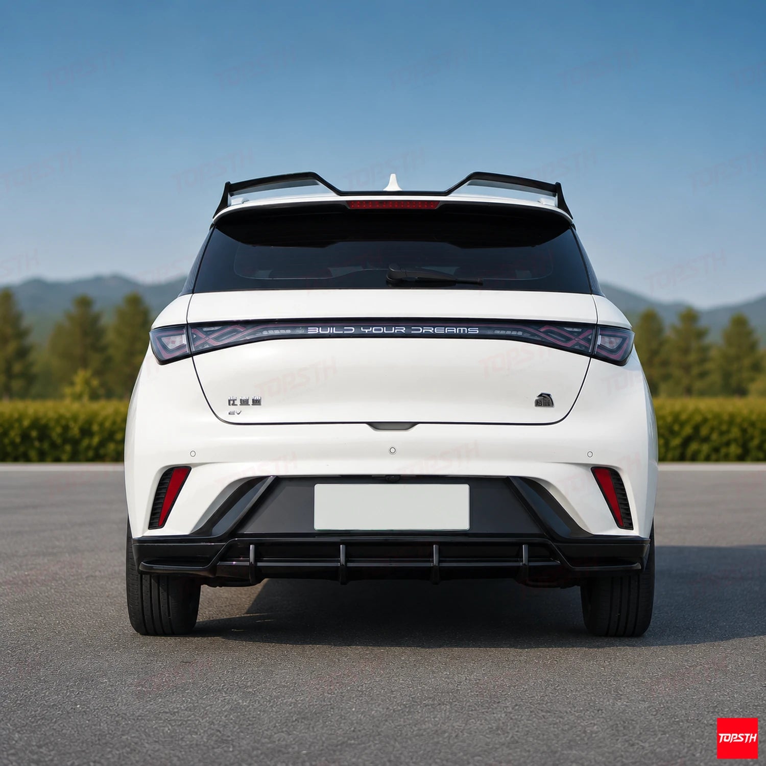 2023-2025 BYD Dolphin DC Style ABS Body kit rear view by TOPSTH