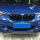 BMW Carbon Fiber Exotics Style Front Splitter for F22