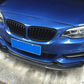 BMW Carbon Fiber Exotics Style Front Splitter for F22