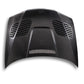 BMW Carbon Fiber GTR Style Hood for E46 Coupe & Sedan (2002-2005)